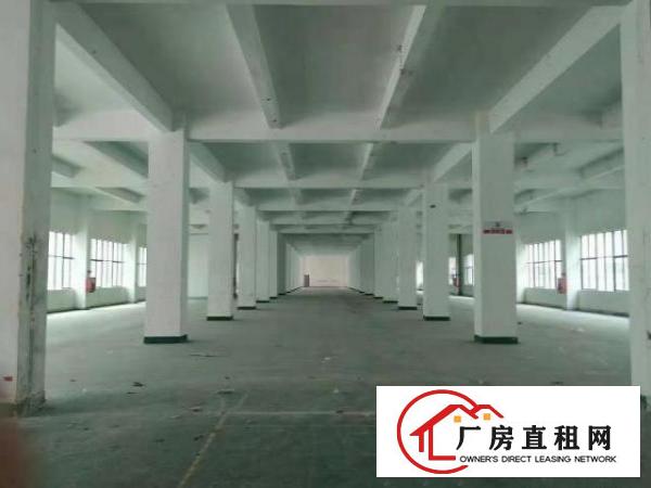  龙华大浪物业直租厂房出租一楼厂房出租4000平，可分租