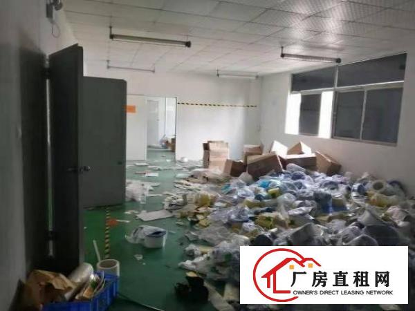  龙华清湖地铁口330平带装修适合电商贸易办公
