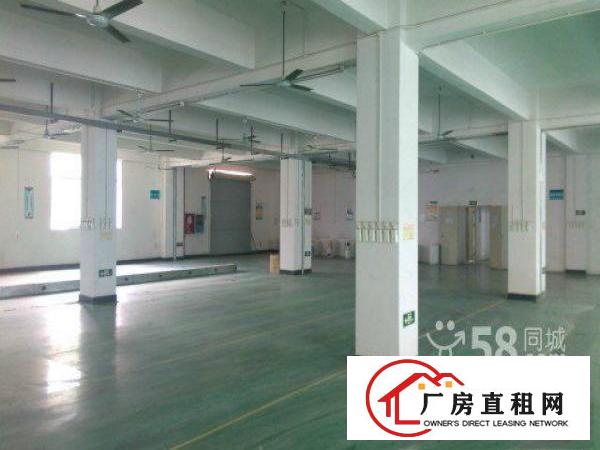  龙华汽车站一楼620,700平厂房仓库带装修出租