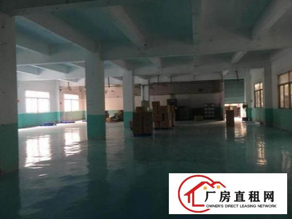  大小厂房写字楼招租大浪商业中心
