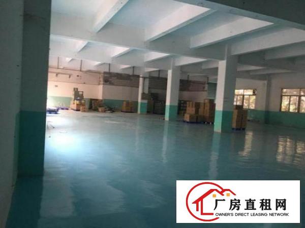 大小厂房写字楼招租大浪商业中心