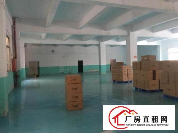 大小厂房写字楼招租大浪商业中心