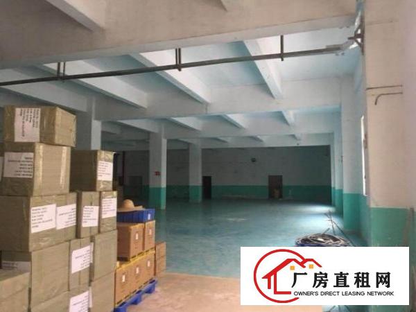  大小厂房写字楼招租大浪商业中心