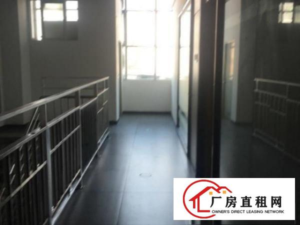  龙华新出来的做商业模式