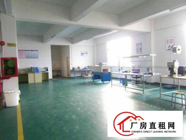  龙华文化广场新出三楼550平带精装修厂房招租