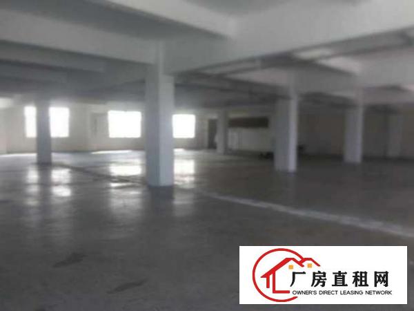  龙华清湖花瓣里新出一楼800平仓库招租