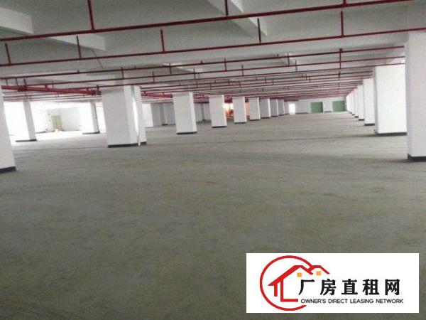  龙胜地铁口新出一楼2000平6米高做汽修卖场仓库