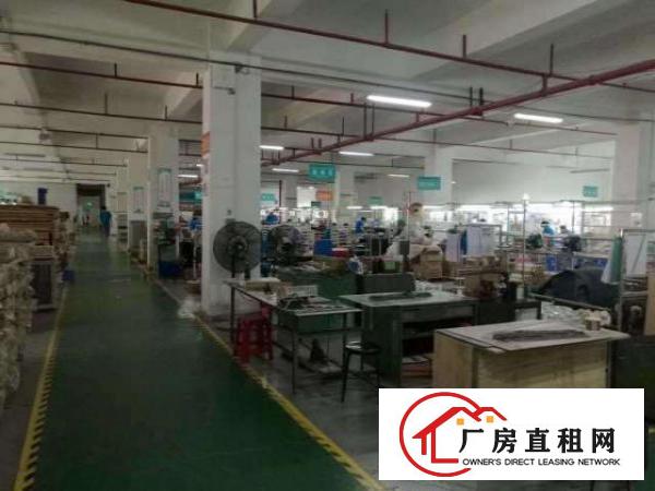  龙胜地铁口新出一楼2000平6米高做汽修卖场仓库