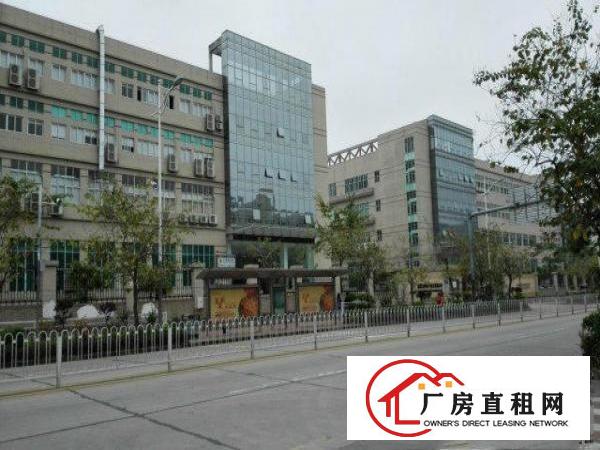  大浪服装基地新出23000平厂房火带喷淋爆红本