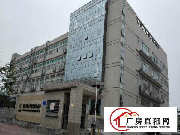  大浪服装基地新出23000平厂房火带喷淋爆红本