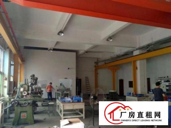  龙华墩背社区原房东一楼580平方独门独院带航车厂房招租