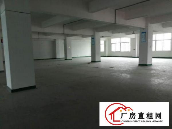  龙军工业区新出三楼1060平带装修适合电商贸易