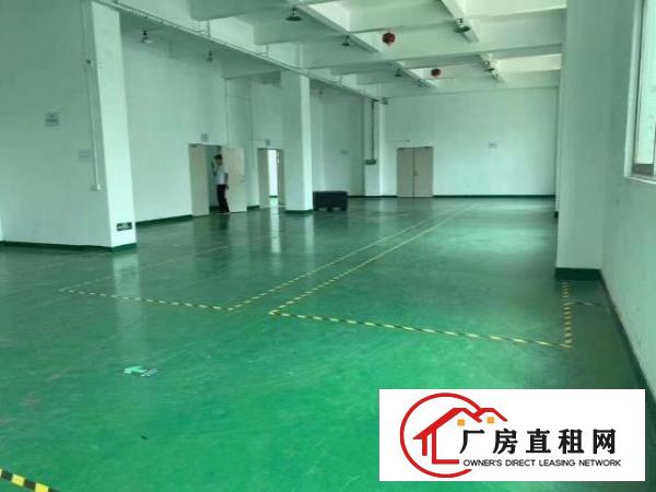  龙华清湖地铁站附近楼上整层精装修厂房1400平方出租