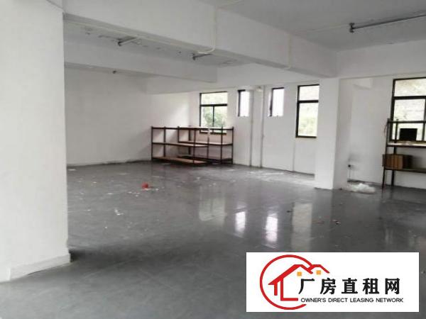  龙华清湖小学新出3楼1200平带装修适合电商贸易办公仓库