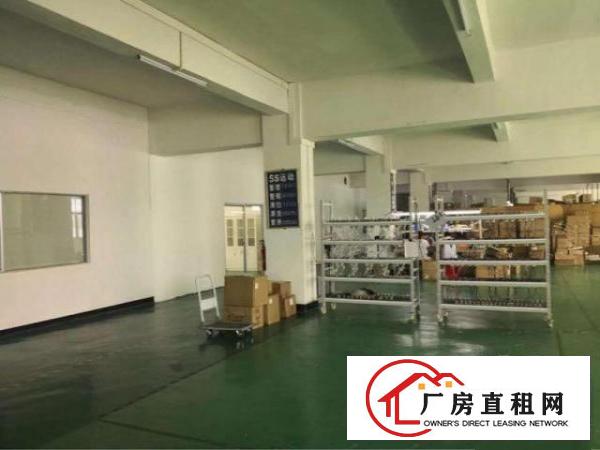  龙华油松天虹新出楼上850平厂房带精装修出租