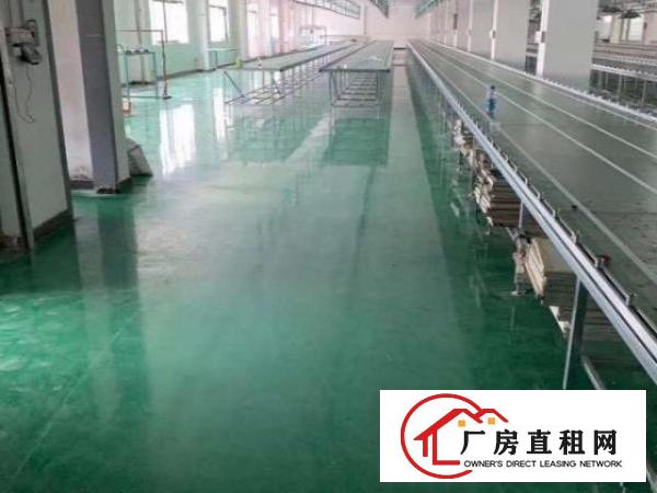  龙华汽车站旁新出800平米精装修厂房出租（可分租）