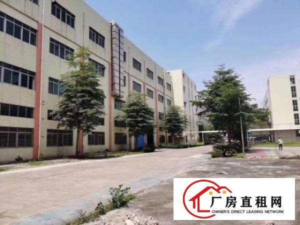  龙华汽车站旁新出800平米精装修厂房出租（可分租）