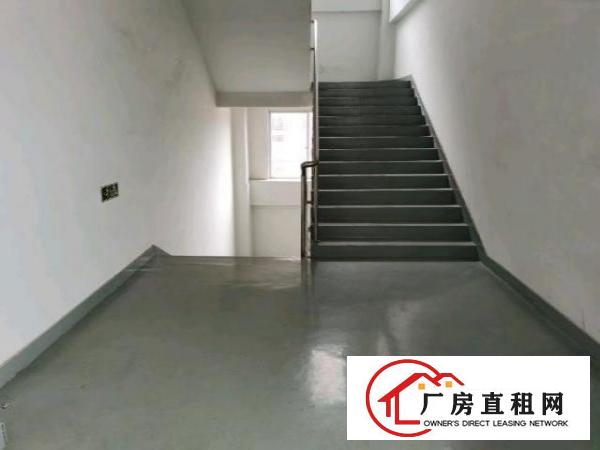  龙华大浪园区靠近高速新出楼上900平