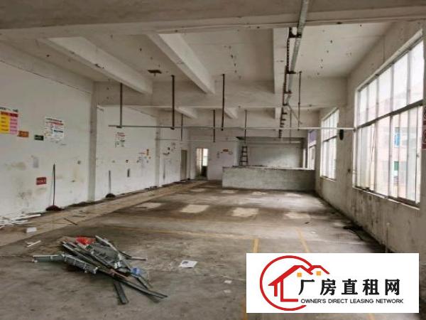  龙华大浪园区靠近高速新出楼上900平