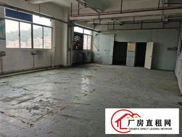  龙华大浪园区靠近高速新出楼上900平