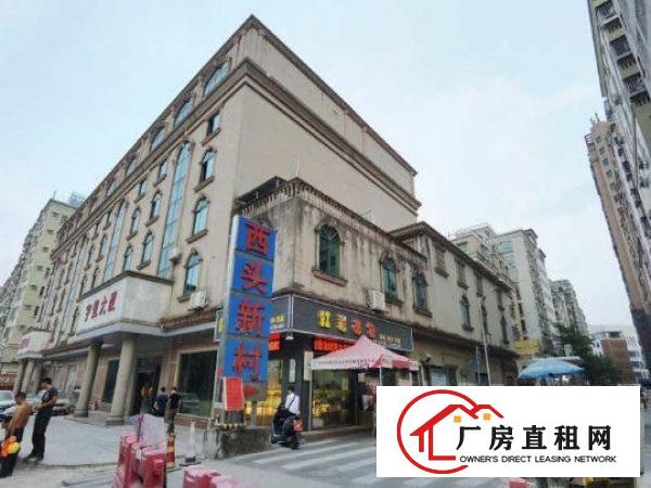  9500平整栋出租，临近地铁站100米，低价出手，豪华装修