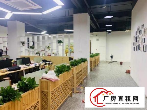  龙华大浪商业中心附近新出精装修厂房620平，原房东直租