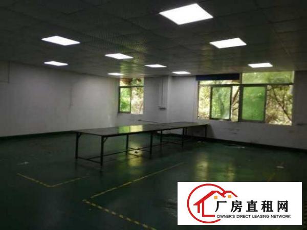  （出租）龙华清湖工业城特价厂房出租325平方米