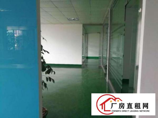  鹊山路口光浩工业区480平方花园式厂房带装修急租