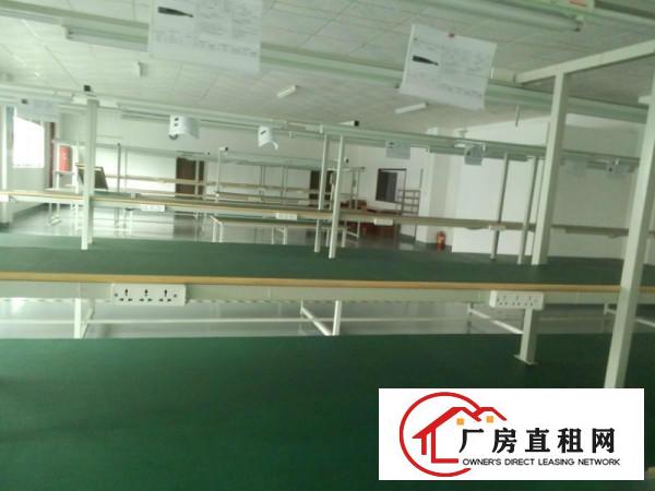  鹊山路口光浩工业区480平方花园式厂房带装修急租