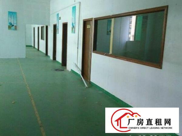  龙华上塘路口西头工业区新出500平带装修厂房招租