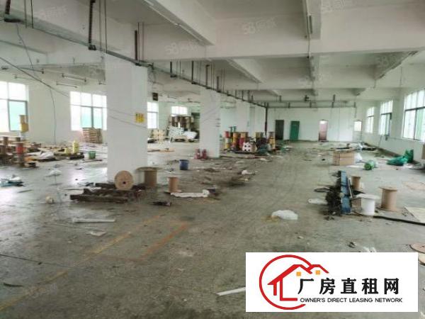  龙华大浪汽车站新出楼上精装修厂房1300平整层水电齐全