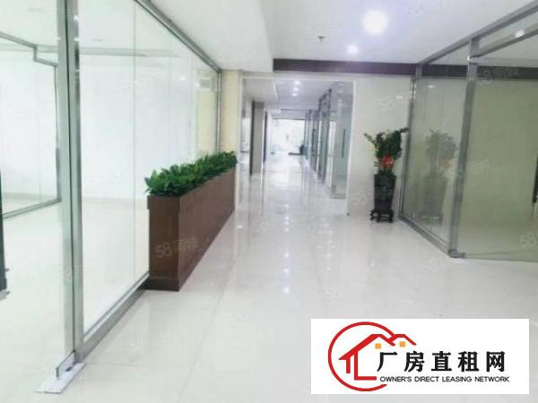  龙华大浪布龙路周边附近252平办公出租，精装修，拎包入驻