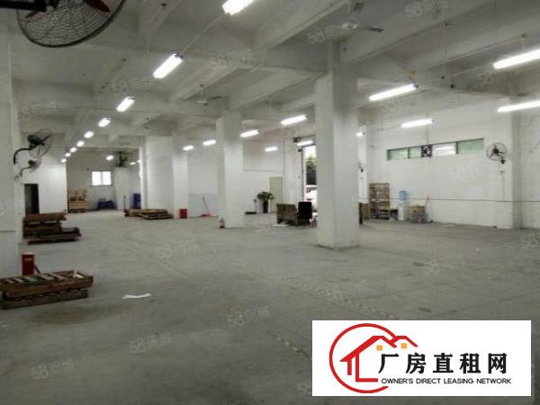  龙华油松新出一套一楼850平厂房出租可做物流，快递分拣，仓储