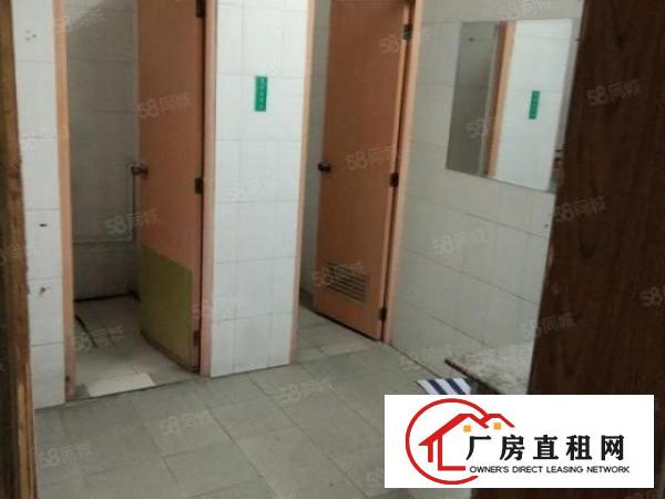  龙华油松新出一套一楼850平厂房出租可做物流，快递分拣，仓储