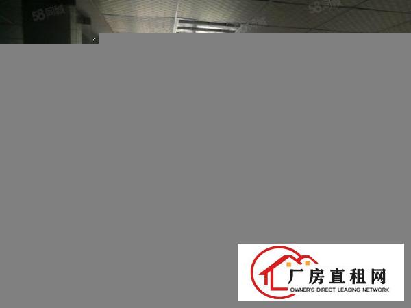  龙华油松精装修厂房120平米，21格局