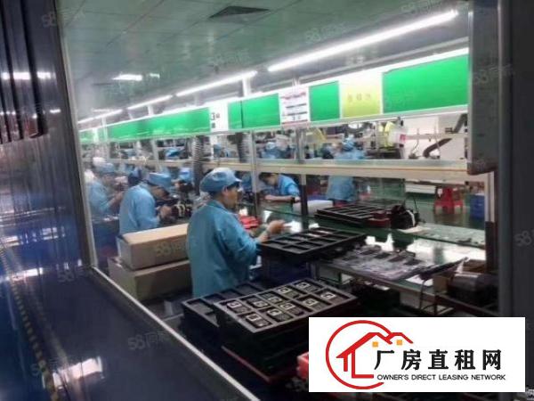  深圳龙华新出楼上小面积300平厂房适合电商仓库生产办公行业