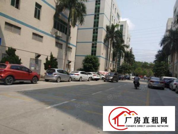  深圳龙华新出楼上小面积300平厂房适合电商仓库生产办公行业