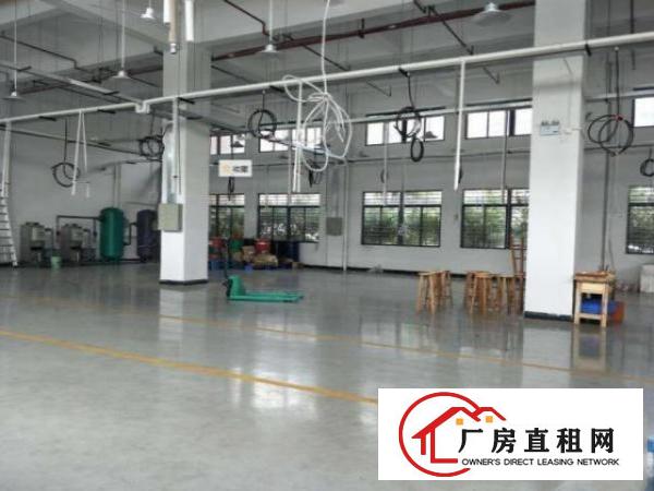  笋盘深圳龙华工业区一楼1000方，高度6米，带办公室地坪漆