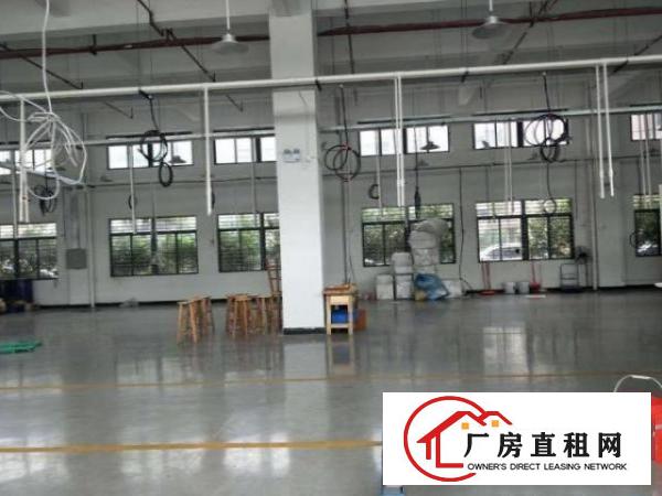  笋盘深圳龙华工业区一楼1000方，高度6米，带办公室地坪漆
