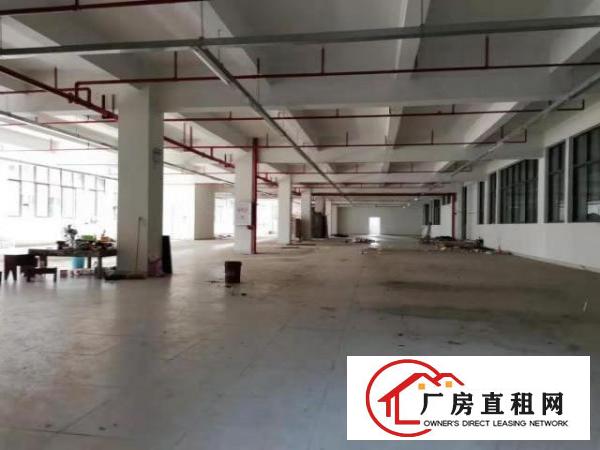  东莞凤岗高新独门独院厂房出租21500平近深圳好招工