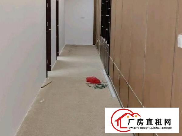  龙华元芬豪华会所招租
