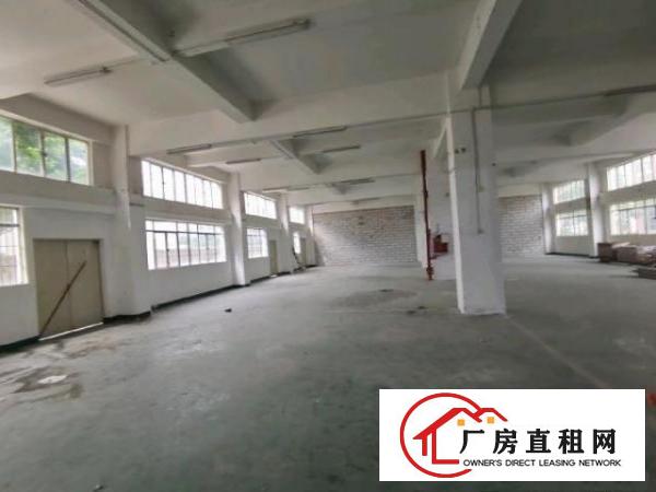  一楼650平国际物流带卸货平台货柜车可随时进出