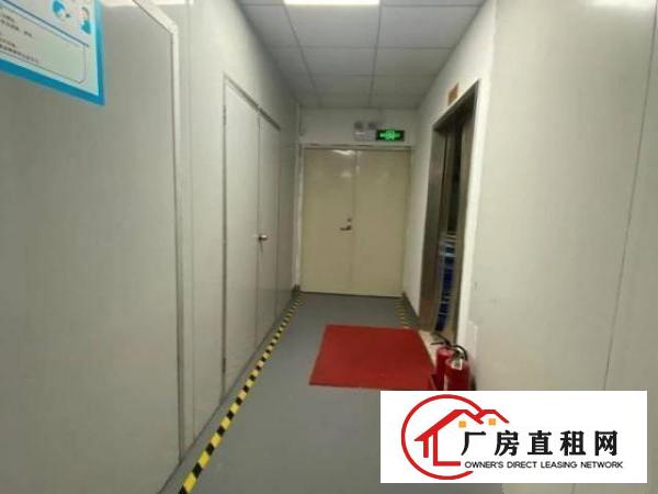  清湖新出厂房带精装修500平可拎包入住