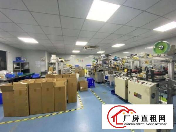  清湖新出厂房带精装修500平可拎包入住