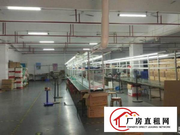  龙华富士康对面大型工业区厂房招租价格实惠可以进大车