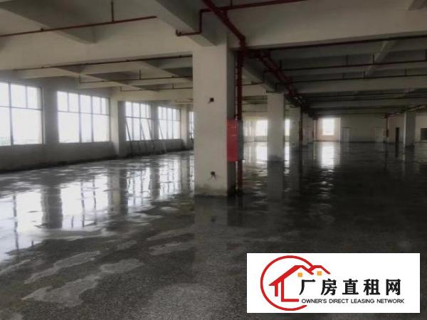  全新标准，花园式厂房，可分独门独院