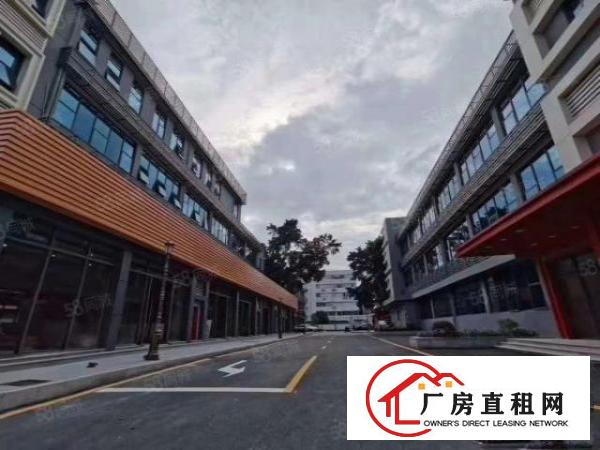  龙华新出独栋3115平方网红公司总部基地
