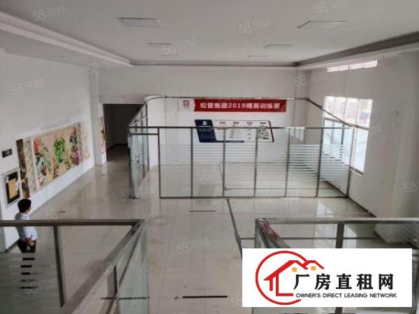  800平1楼办公室厂房，写字楼格局