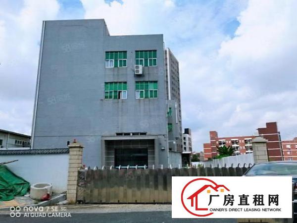  龙华大浪新出原房东红本厂房直租