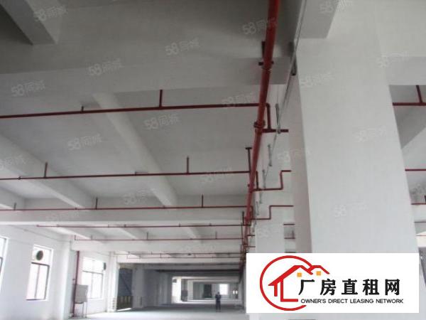  2500方900方标准一手厂房消防过关水电齐全